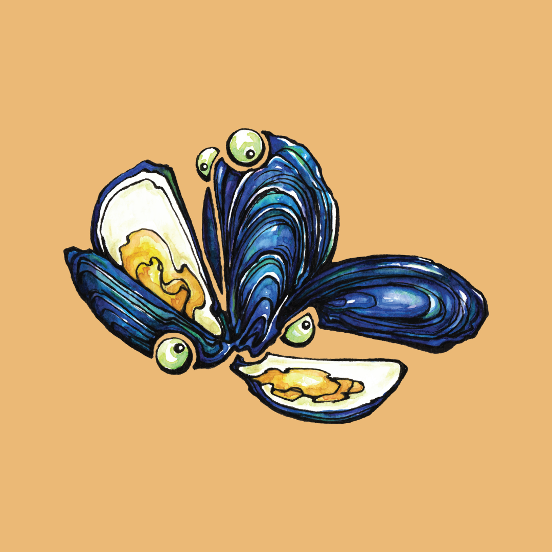 Little Tin Co Mussel Artwork