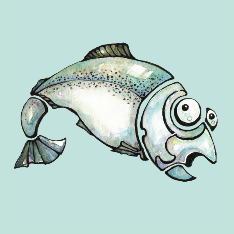 Little Tin Co Salmon Artwork